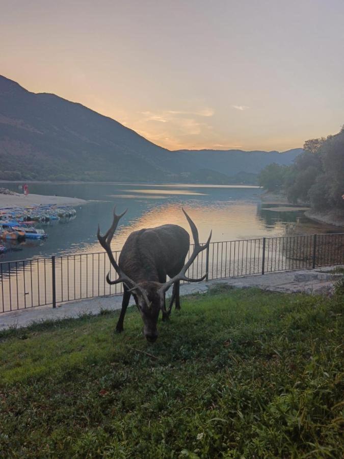 Hotel Il Rifugio Del Lupo Сканно Экстерьер фото